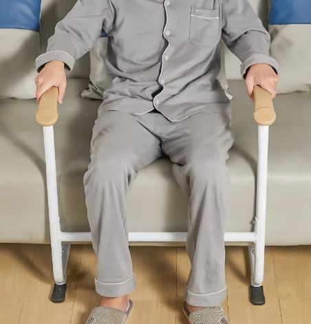 Easy-Stand Mobility Support Rail